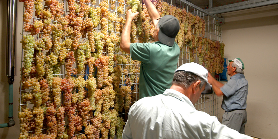 I vini della Massetta